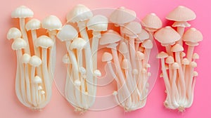 Enoki mushroom elegantly displayed on a serene and harmonious pastel colored background