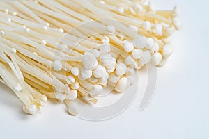 Enoki mushroom or Enokitake