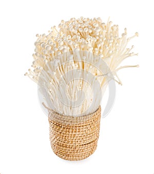 Enoki mushroom, Golden needle mushroom isolated in white background