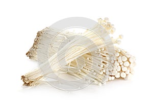 Enoki mushroom, Golden needle mushroom isolated on white photo