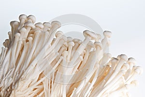 Enoki Mushrooms photo