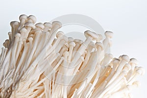 Enoki Mushrooms