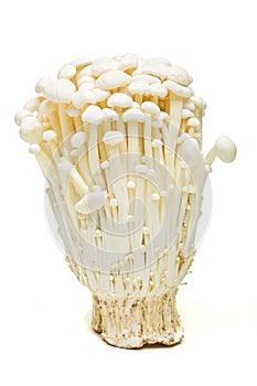 Enoki Mushrooms