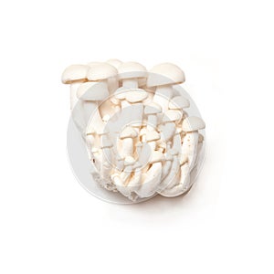 Enoki Mushrooms