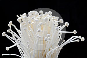 enoki mushrooms
