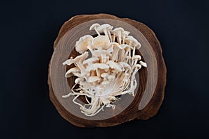 Enoki Mushrooms Flammulina velutipes