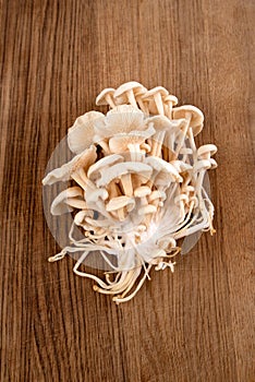 Enoki mushrooms on an oak board cooking in the kitchen
