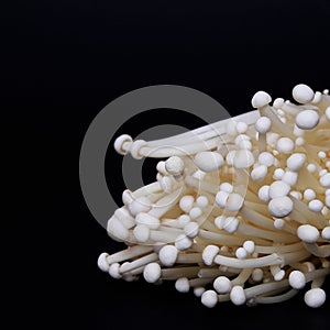 Enoki mushrooms over black