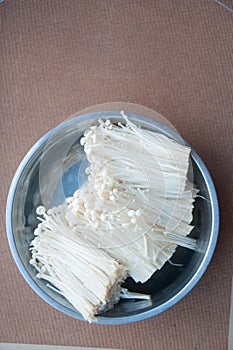 Enokitake or The Golden Mushroom