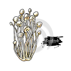 Enokitake mushroom hand drawn vector illustration. Sketch food drawing