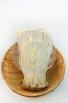 Enokitake mushroom [long thin white mushroom]