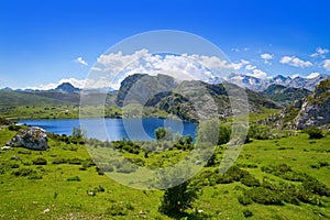 Enol lake at Picos de Europa in Asturias Spain photo