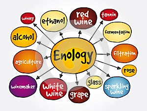 Enology mind map, concept for presentations and reports