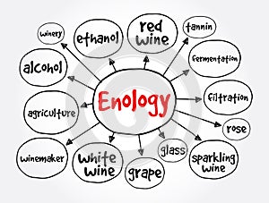 Enology mind map, concept for presentations and reports