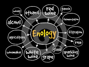 Enology mind map, concept for presentations and reports