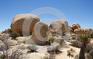 Enormous boulders and rocks overview on Arch Rock trail in Joshua Tree National Park, CA, United States. Travel concept