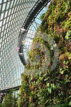 Enormous Greenhouse with Plants Growing from an Artificial Cliff