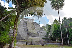 Enormous Mayan Temple in the jungle at Yaxha, Peten, Guatemala