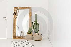 Enormous mirror in the room photo