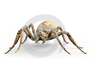 Enormous plague ridden fantasy spider on a white background