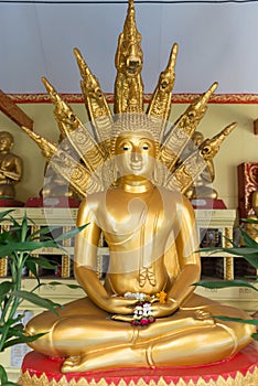 Enormous, Solid Gold Buddha Statue in Bangkok, Thailand