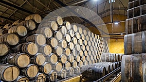 Enormous stacks of oak barrels aging tequila in Mexico