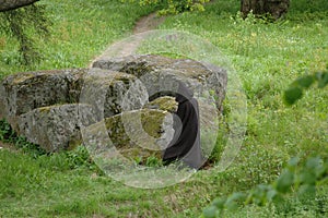 Enormous stone in a park