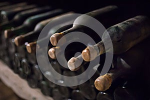 Enoteca. Wine collection in a wine cellar. Bottles on a rack closeup photo