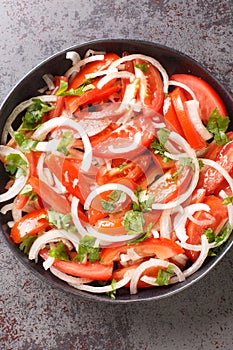 Ensalada chilena is a Chilean salad consisting of tomatoes, onions, olive oil, and coriander closeup in the plate. Vertical top photo