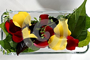 Salad of petals and wild plants photo