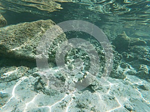 The `Ensenada Grande` beach in Baja California Sur