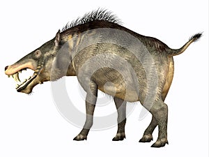 Entelodon Omnivore