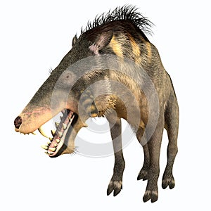 Entelodon Terminator Pig