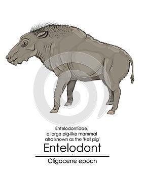 Entelodont, also known as the hell pig