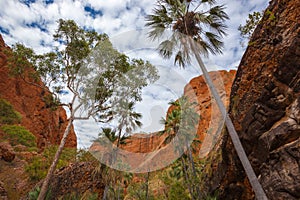 Entering Echidna Chasm at the Bungle Bungles in the World Heritage Listed Purnululu World Heritage Listed National Park, Western