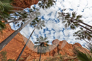 Entering Echidna Chasm at the Bungle Bungles in the World Heritage Listed Purnululu World Heritage Listed National Park, Western