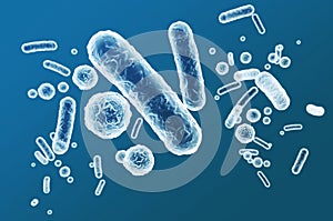 Enterobacteriaceae, gram-negative rod-shaped bacteria