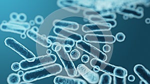 Enterobacteriaceae, gram-negative rod-shaped bacteria