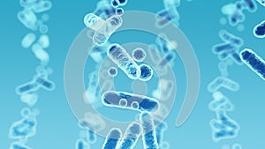 Enterobacteriaceae, gram-negative rod-shaped bacteria