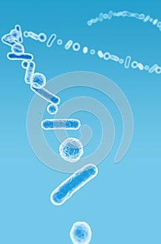 Enterobacteriaceae, gram-negative rod-shaped bacteria