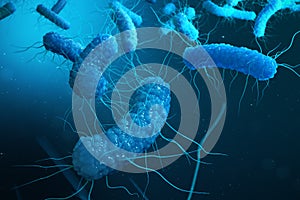 Enterobacterias Gram negativas Proteobacteria, bacteria such as salmonella, escherichia coli, yersinia pestis