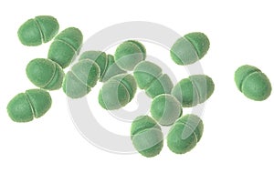 Enterococcus bacteria on white background, medically accurate 3D illustration photo