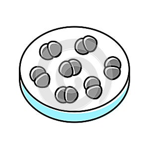 enterococcus infection color icon vector illustration