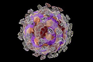 Enterovirus with attached integrin molecules photo