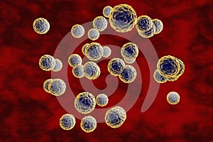 Enterovirus on blue background