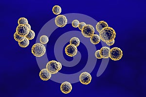 Enterovirus on blue background