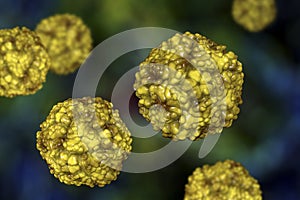 Enteroviruses, a group of RNA-viruses including Echoviruses, Coxsackieviruses, Rhinoviruses and other