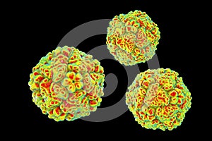 Enteroviruses, a group of RNA-viruses including Echoviruses, Coxsackieviruses, Rhinoviruses and other