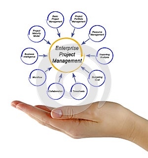 Enterprise Project Management