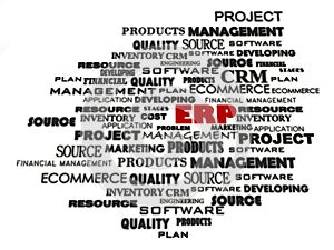 Enterprise Resource Planning photo